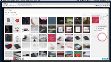 Alice Wordpress Theme - Gallery Images