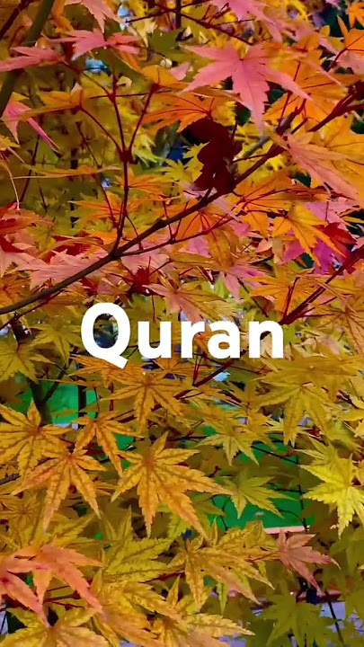 Surah Saba Urdu translation