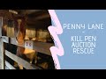 Penny Lane - Kill Pen Horse Rescue and Starting