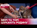 Сестрички Мері та Торі шукають родину – Кохання з першого мяу/гав