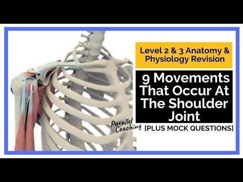 9 Movements That Occur At The Shoulder Joint