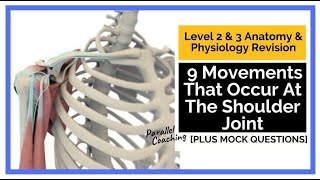 9 Movements That Occur At The Shoulder Joint