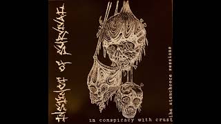 Instinct Of Survival - Social Cleaver