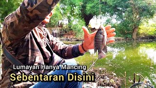 Umpan Lumut || Mancing Liar Jakarta ??