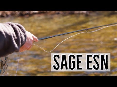 Sage ESN Fly Rod (On The Water Review)