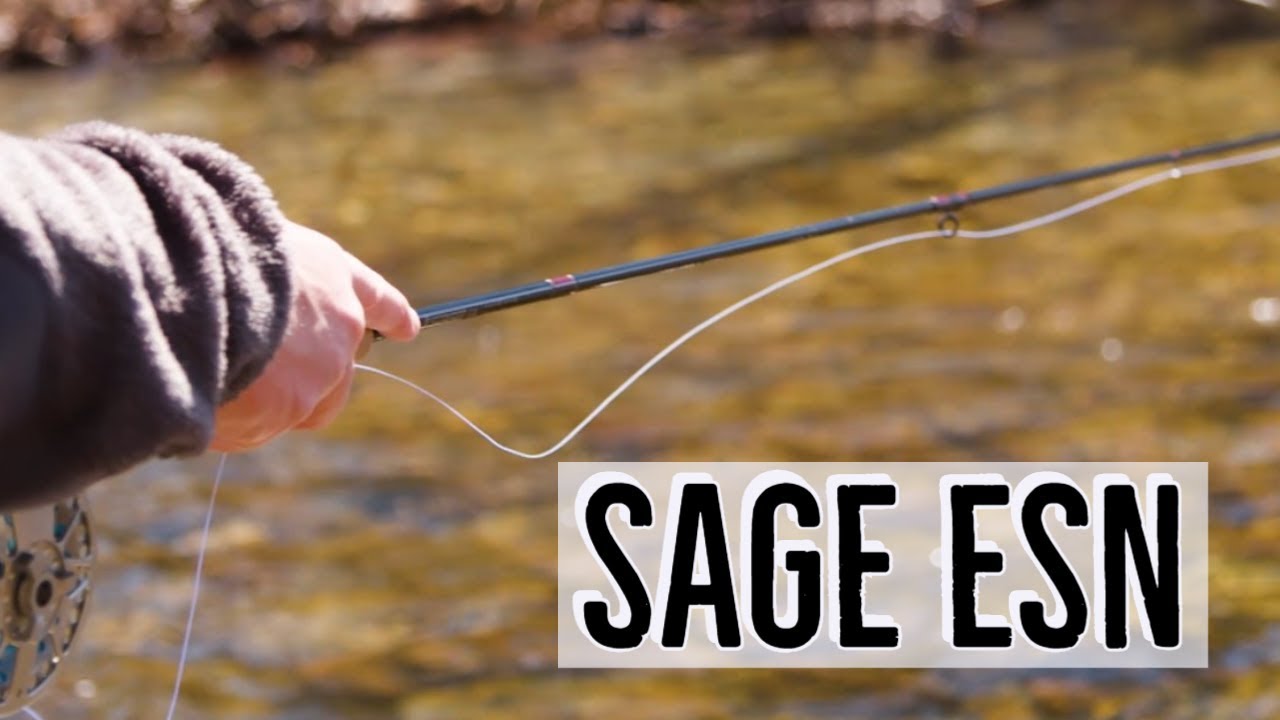 Sage ESN Fly Rod (On The Water Review) 