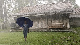 Прогулка под проливным дождем и штормами в сельской Индонезии | АСМР, звуки природы для сна