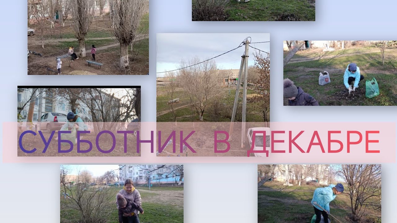 Уборка во дворе в декабре, выгребаем листву,  в +4 градуса. #субботник #убираем #декабрь #двор 