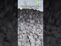 The world's fastest crushing cone crusher #machine #automobile#rock #crusher  #jawcrusher #crushing