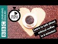 Would you pay more for 'ethical' coffee? 6 Minute English