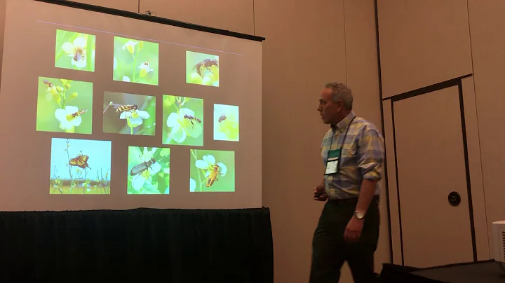 Charles Fenster: Pollinator contribution to the yield of the new oil crop Brassica carinata