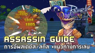 Ragnarok M Eternal Love | EP#8 [Assassin Guide] สายการเล่นตั้งแต่โจร+การอัพสเตตัส/สกิล+ของสวมใส่