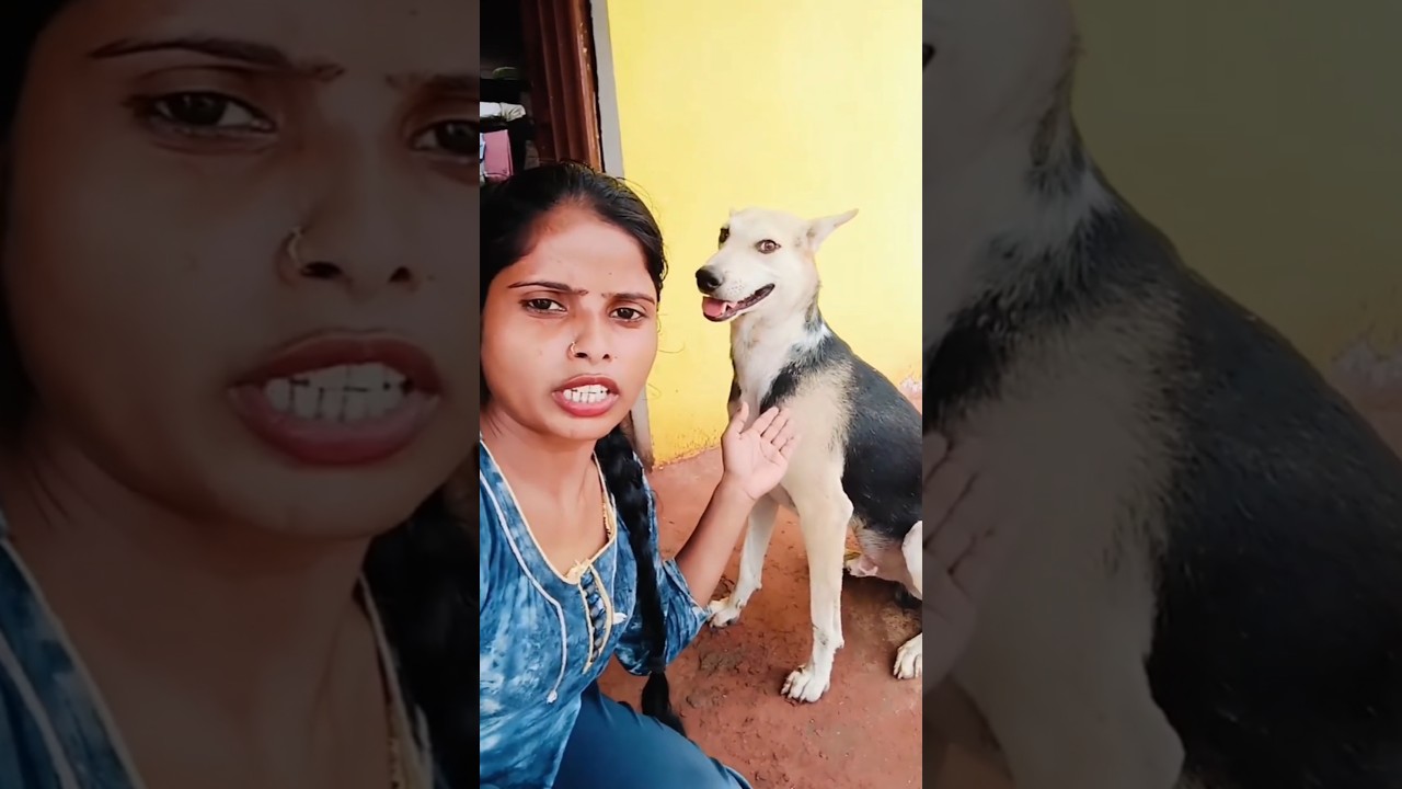 The Breaking News 😅 