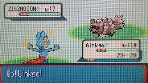LIVE! Shiny Treecko in Sapphire after 14,906 SRs [read desc]