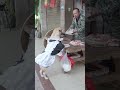 Dogs are too smart, buy more meat狗狗太聪明，换更大的肉 image