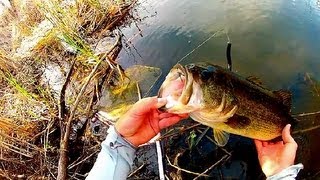 *sorry about the aspect ratio in this video. i accidently switched my
gopro 2 over to 960 instead of 1080p, fail! today's trip favorite
secret southern...