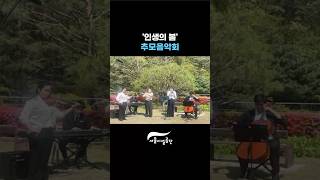'인생의 봄' 추모음악회 (with 가온솔로이스츠, 하트하트앙상블)썸네일