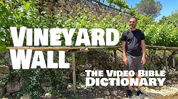Vineyard Wall - Video Bible Dictionary - explaining the Bible