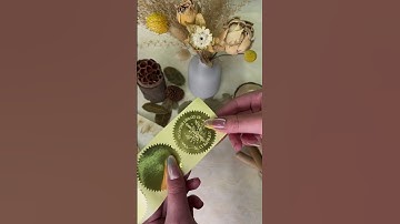 How to Personalize Your Library Efficiently | Book Embosser #organize #embossing