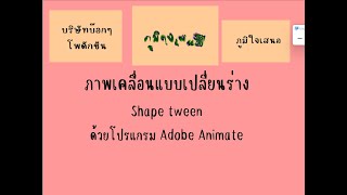 006 shape tween การเคลื่อนไหวแบบเปลี่ยนร่าง Adobe animate