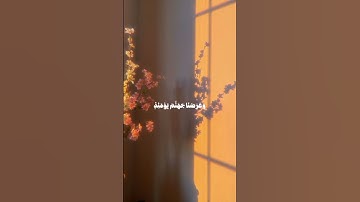 | قرآن كريم راحة نفسية |🕋🤎اللهم انصر اهلنا في فلسطين وغزة 🇵🇸🤍#قرآن #راحة_نفسيه #فلسطين_حرة