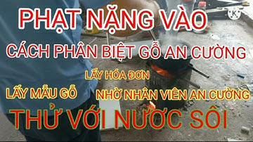 TẤT CẢ CÁC CÁCH PHÂN BIỆT GỖ AN CƯỜNG CHUẨN NHẤT//NƯỚC SÔI// SU KHƠI