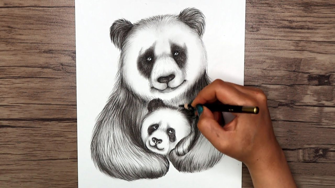 Premium Vector | Cute baby panda outline page of coloring book for children  black and white hand painted sketches