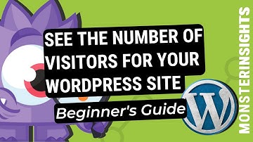 How To Check The Number Of Visitors For Your WordPress Website (Beginner