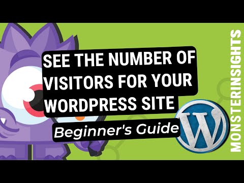 How To Check The Number Of Visitors For Your WordPress Website (Beginner's Guide)