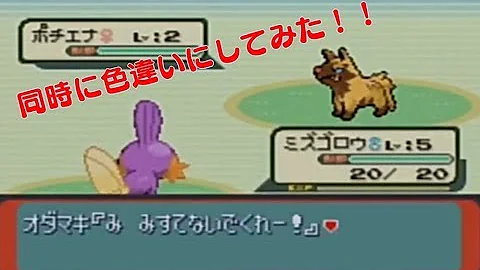 تحميل ポケモン エメラルド 御 三家 色 違い Mp4 Mp3