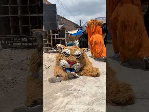 Dimakan Barongan Srigala #shorts