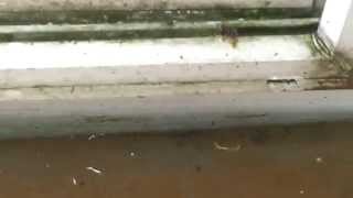 fix for water in patio door track