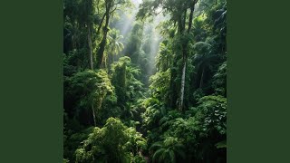 Echoing Solitude Beyond The Sky
