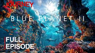 BLUE PLANET II | The Hidden Life That Connects Earth’s Oceans | FULL EPISODE | 4K DOCUMENTTARY
