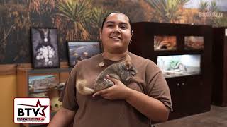 Gladys Porter Zoo Summer Safari Camp is Back | BTV News Now