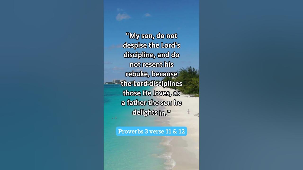 bible-verse-proverbs-3-verses-11-and-12-youtube