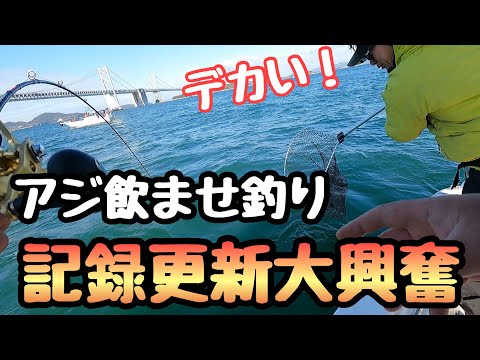2022釣り納め！アジ飲ませ釣りでヒラメと鰤を狙います！