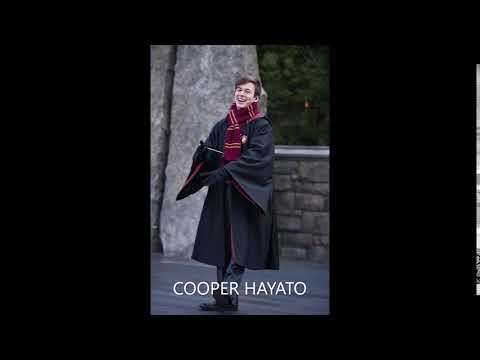 Harry Potter Frog