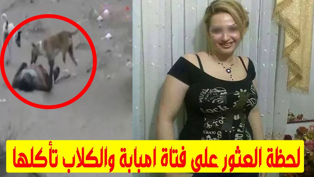 صافى رفضت التصوير اثناء معاشرتها فتركها عشيقها للكلاب ولكن النهاية لاتصدق #اللغز