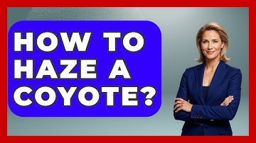 How To Haze A Coyote? - Exploring Campgrounds