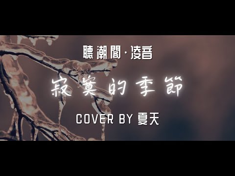聽潮閣 凌音 陶喆 寂寞的季節 Cover By 𝑇 夏天