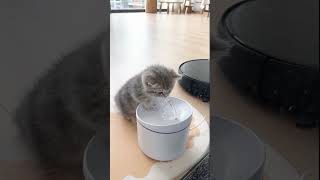 Aaaaaaa Lucunya Adekk