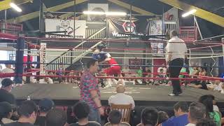 Rocky's VII Amateur Boxing Show