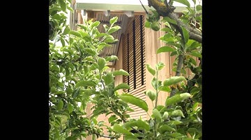 Timber Cladding Showcase