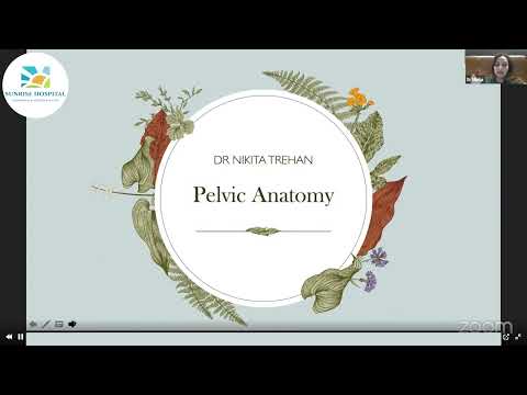 Pelvic Anatomy and Pelvic Spaces “ a teaching video @ Dr Nikita Trehan