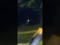 She makes me sick. GEEZ: Cops #bodycam #dui #arrest #cops #dwi #ovi #police #sobrietytest #videos