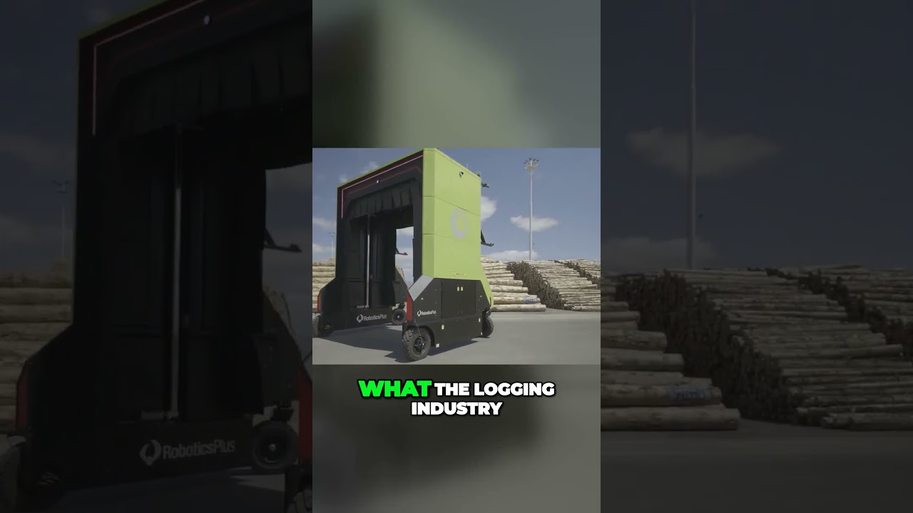 This Log-Measuring Hero Scans 20 Trucks an Hour This Log-Measuring Hero Scans 20 Trucks an Hour