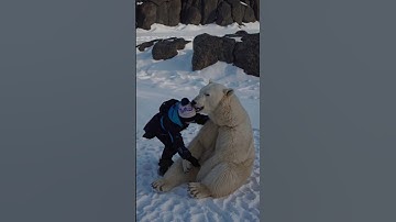 Child playing with polar bears in the Arctic #AI #Sora #OpenAI