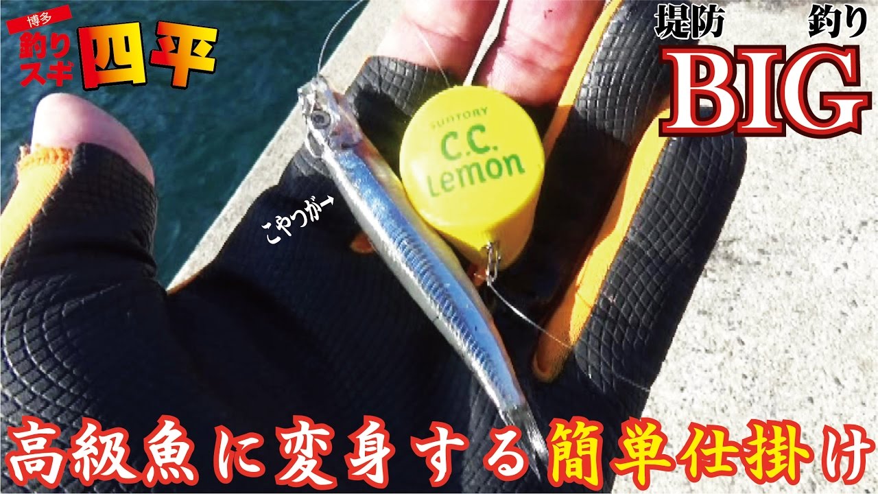 ペットキャップにキビナゴ付けて投げるだけで高級魚釣れる(124話目)