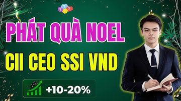 Chứng Khoán Hôm Nay 22/12 | BĐS - Chứng Khoán Bật Tăng Mạnh.Top Cổ Phiếu T+ Ăn Ngay!